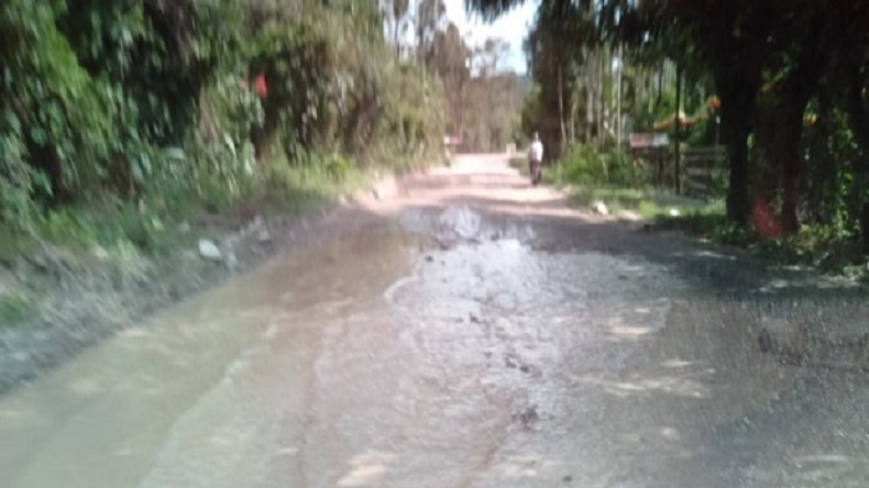 Jalan Menuju Dermaga Peti Kemas Jayapura Mangkrak, Bupati Kritik Pemprov