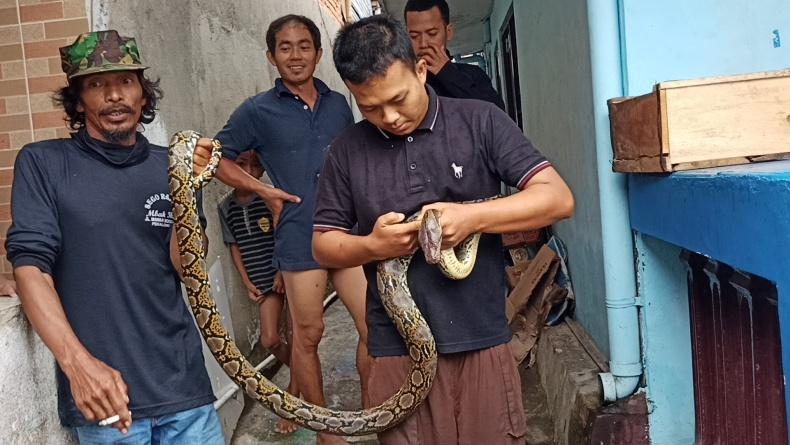title Korban Banjir Pekalongan Dikejutkan Ular Sanca Masuk Permukiman Korban Banjir Pekalongan Dikejutkan Ular Sanca Masuk Permukiman