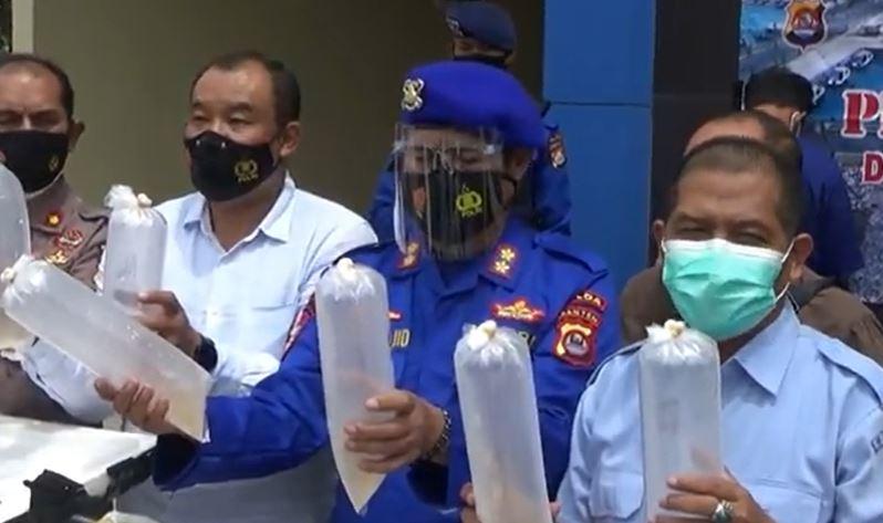 Polisi Tangkap 2 Pengusaha Penyelundup 24.000 Benih Lobster Senilai Rp6 Miliar di Banten
