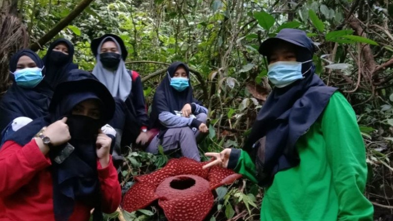 Dampingi Mahasiswa Magang, Petugas KSDA Agam Temukan Rafflesia Mekar Sempurna
