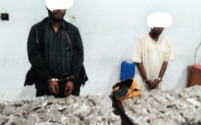 BNN Papua Tangkap Dua Pengedar dengan 200 Paket Ganja Siap Edar di Jayapura