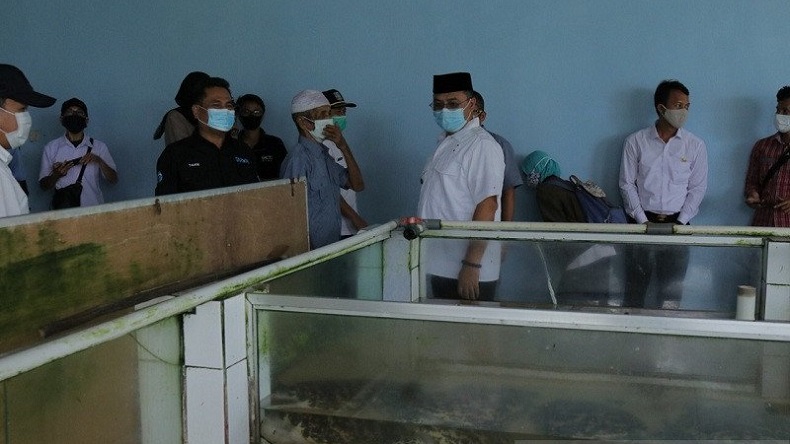 Telur Kerap Diburu Warga, Penyu Sisik dan Hijau di Babel Terancam Punah