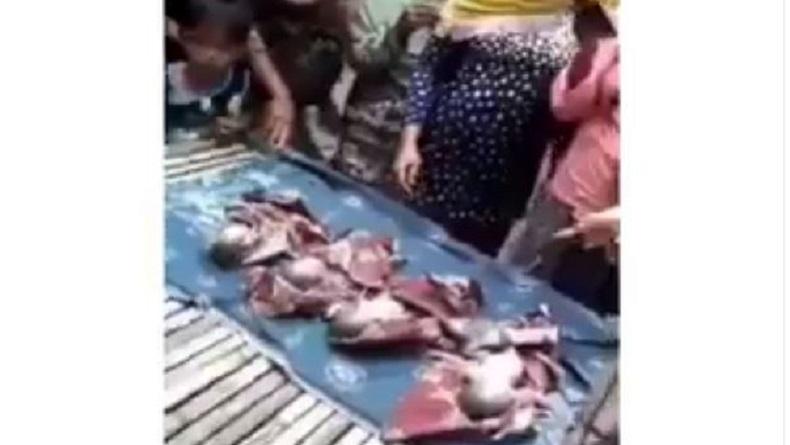 Viral Ibu Lahirkan 4 Bayi Kembar Sendirian di Bangkalan, Keempatnya Meninggal