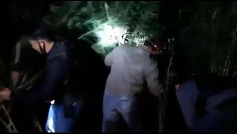    Nekat Tanam Ganja untuk Diperjualbelikan, Petani di Rejang Lebong Diringkus Polisi
