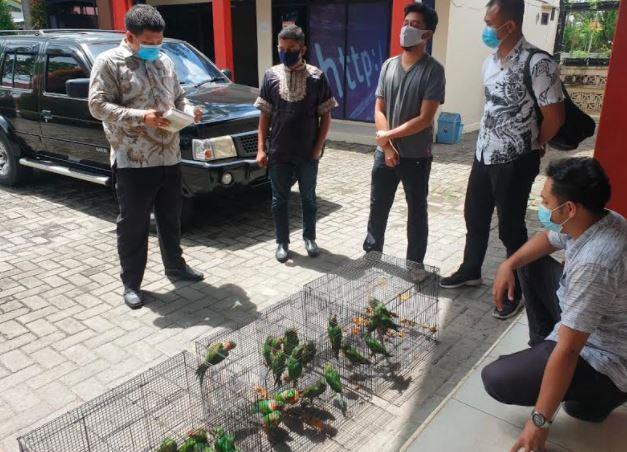 Jual Puluhan Burung Betet di FB, Oknum ASN Pemprov Riau Ditangkap