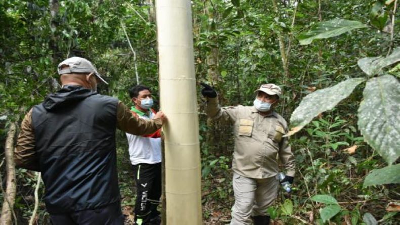 title Gubernur Babel Sosialiasi Rekayasa Okulasi ke Petani Gaharu Gubernur Babel Sosialiasi Rekayasa Okulasi ke Petani Gaharu