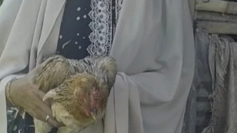 Kecewa Dapat Bansos Ayam Hidup, Warga Cianjur: Ada yang Baru Terima Sudah Mati