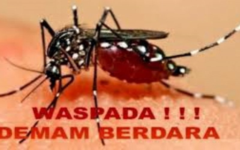 Warga OKU Diimbau Waspadai Penyakit DBD