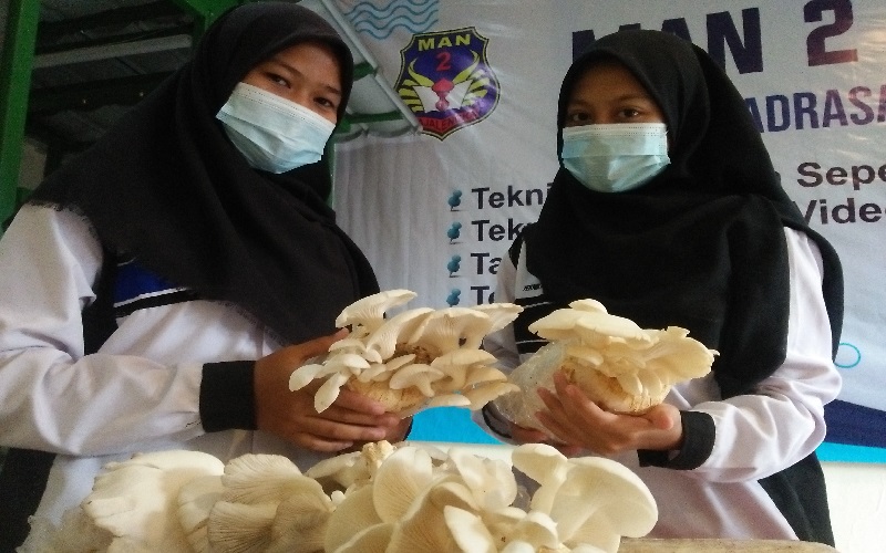 Berkat Jamur Tiram, Tim MAN 2 Majalengka Juara 1 Ajang Inovasi Teknologi AMD 2020