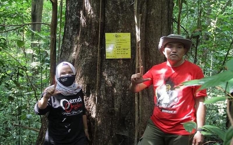 Pemkab Musi Banyuasin Dorong Program Adopsi Pohon 