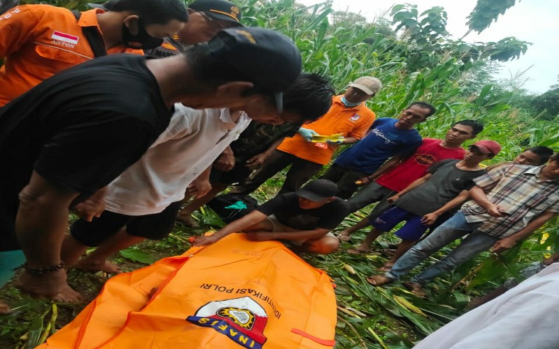Gempar, Petani di OKU Tewas Terkapar di Ladang Jagung