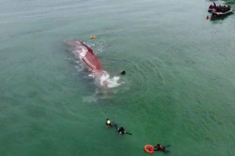 Alami Kendala, Petugas Gagal Temukan 5 ABK TB Mitra Jaya XIX  Tenggelam