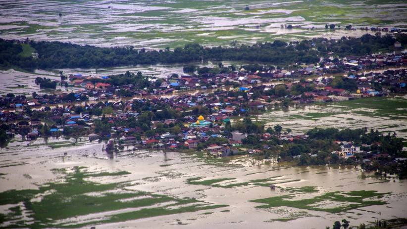 Kena Dampak Banjir Kalimantan Selatan, Puluhan Ribu Hektare Sawah Terendam Air - Bagian 2