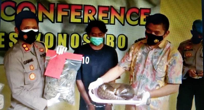 Polisi Tangkap Pemuda Nekat Jual Trenggiling, Ternyata Sisiknya untuk Bahan Baku Narkoba