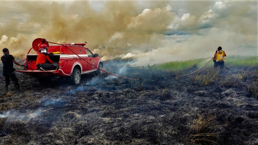 Aceh Masuk Masa Peralihan Musim, BMKG: Waspada Karhutla