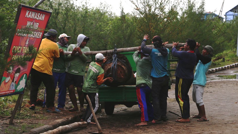 Kawasan Wisata Mangrove Gunung Anyar Surabaya Berbenah Selama Ppkm Bagian 3