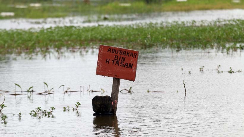 Banjir di TPU Semper Jakarta Utara Tak Pernah Surut Sejak Tahun 2000 - Bagian 3