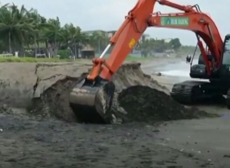 Video Bangkai Ikan Paus Muncul dan Sebarkan Bau Busuk di Pantai Pesisir Bali