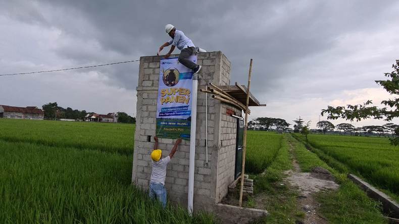 Dongkrak Produktivitas Petani Solo Raya, PLN Gencarkan Super Panen 