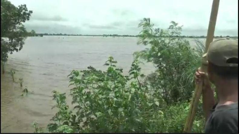 Banjir di Desa Dorang Jepara, 150 Hektare Tanaman Padi Terancam Gagal Panen 