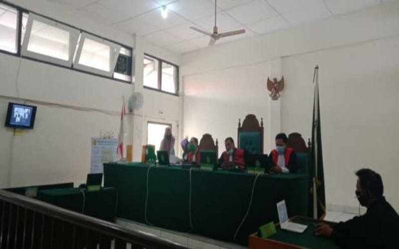 Gegara Kucing, Perempuan Muda di Palembang Hadapi Tuntutan 3 Tahun Penjara