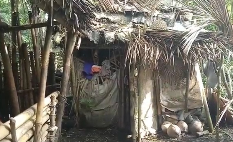 Gubuk di samping kandang sapi tempat I Made Kaler tinggal. (Foto: iNews.id/Yunda Ariesta)