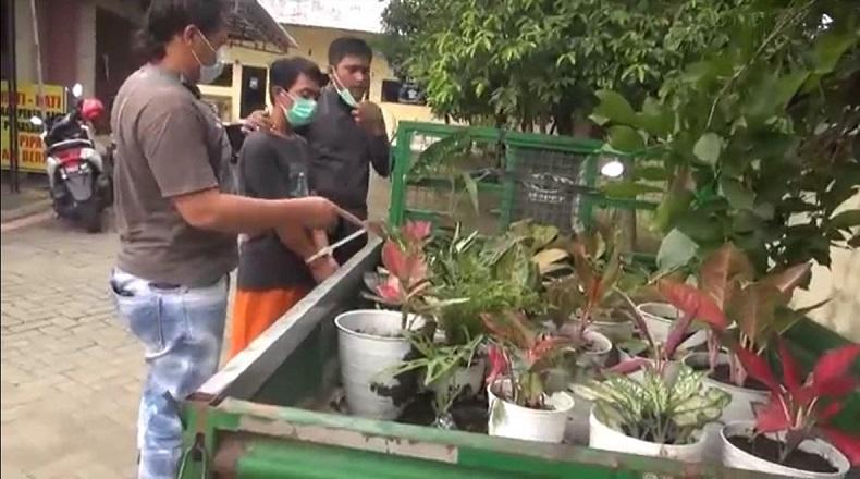  Ingin Hiasi Halaman Rumah, Laki-Laki di Lamongan Ini Nekat Curi Puluhan Tanaman Hias