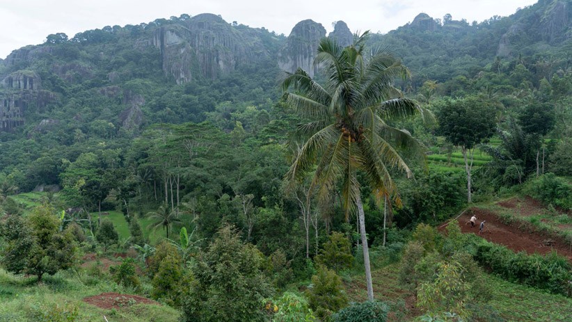 Jelajah Wisata Geologi Gunung Api Purba Nglanggeran - Bagian 2
