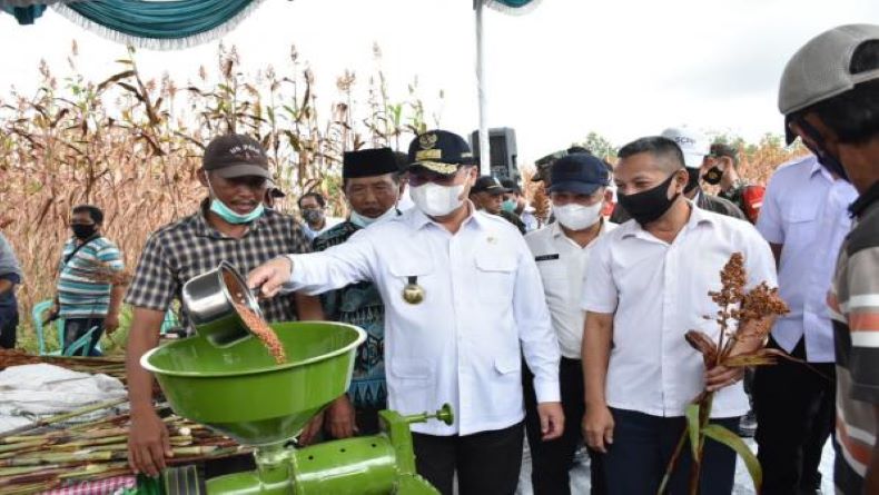 title Terbaik, Nilai Tukar Petani Babel Tertinggi di Indonesia Terbaik, Nilai Tukar Petani Babel Tertinggi di Indonesia