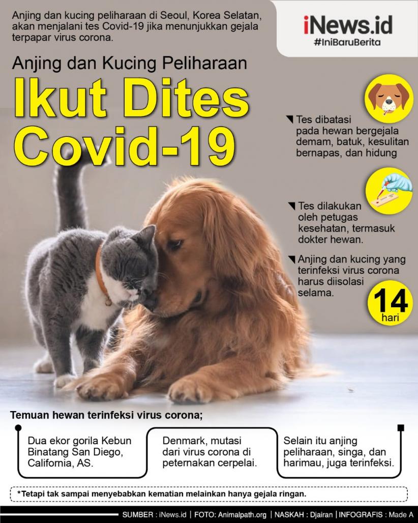 Anjing dan Kucing Pun Bakal Dites Covid