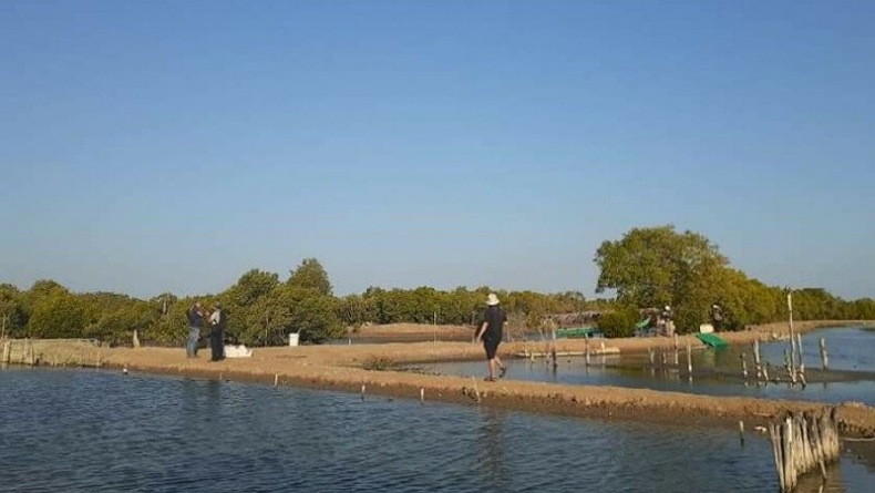 Siapkan Lahan 400 Hektare, Pemprov Gorontalo Gandeng Investor Kembangkan Udang Vaname