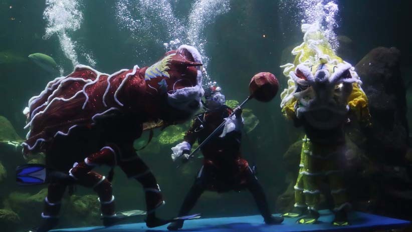 Atraksi Barongsai di Dalam Akuarium Sea World Ancol - Bagian 2