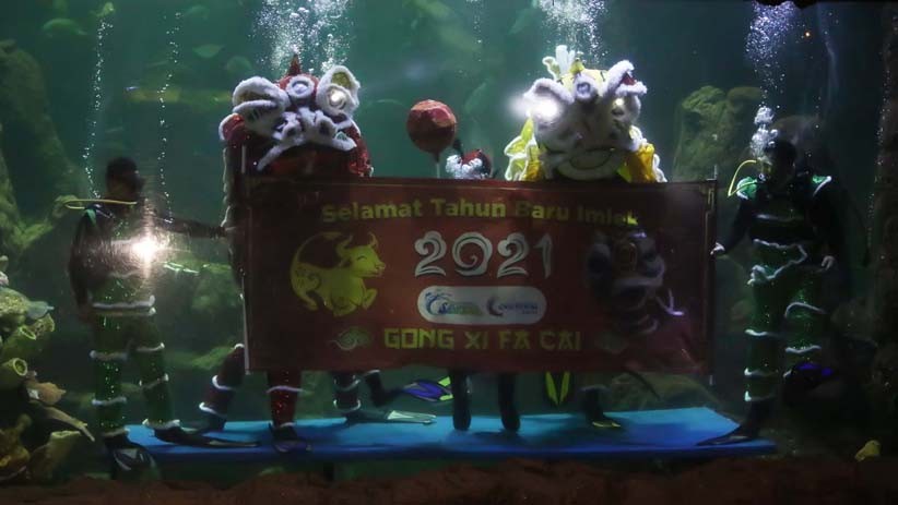 Atraksi Barongsai di Dalam Akuarium Sea World Ancol - Bagian 3