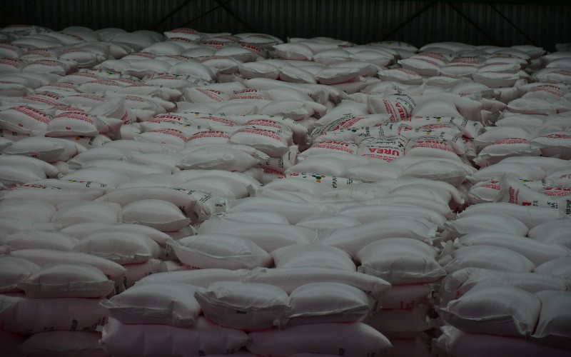 Soal Stok dan Pendistribusian Pupuk Bersubsidi, Ini Penjelasan Pusri 