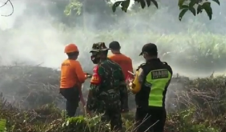 title Lahan Gambut di Pontianak Terbakar, Warga dan Petugas Berjibaku Padamkan Api Lahan Gambut di Pontianak Terbakar, Warga dan Petugas Berjibaku Padamkan Api