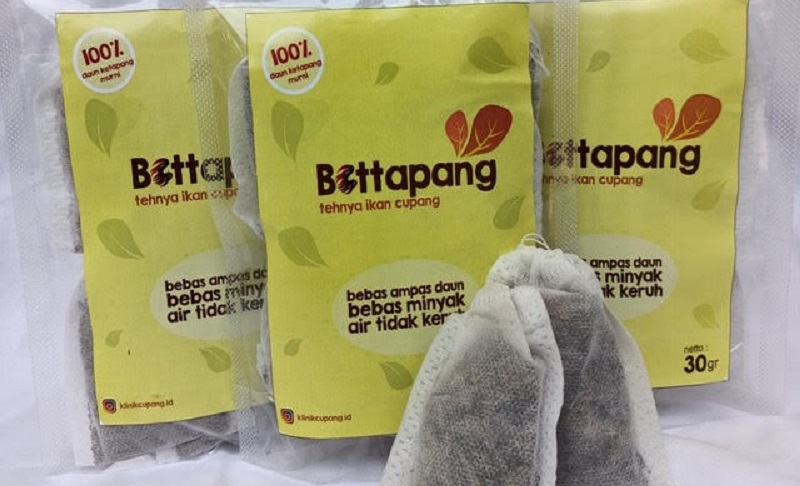 Mahasiswa Unair Sukses Ciptakan Teh Ikan Cupang, Ini Manfaatnya 