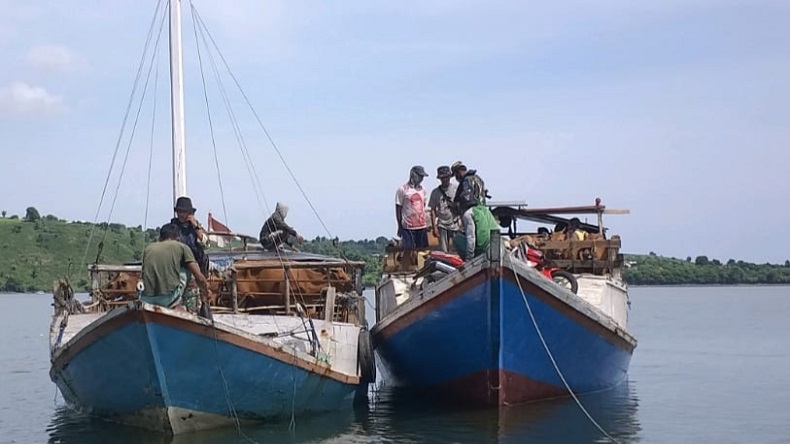 Dua Kapal Bermuatan 92 Sapi asal Flores Diamankan TNI AL di Perairan Bonto Bima