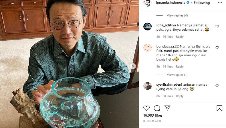 Kocaknya Dubes Jepang Minta Usulan Nama untuk Ikan Cupangnya, Netizen: Joko Pak!