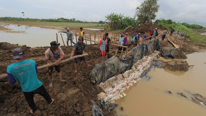 Perbaikan Darurat Tanggul Jebol Sungai Cipanas Indramayu  - Bagian 1