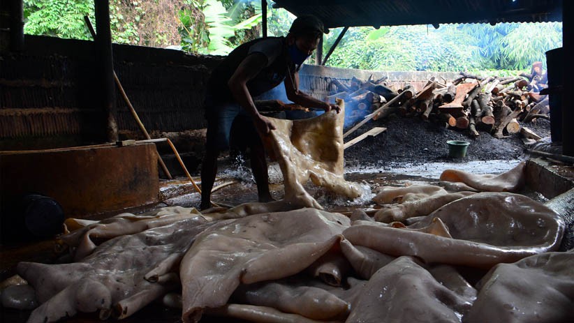 Usaha Kerupuk Kulit Bertahan di Tengah Pandemi Covid-19 - Bagian 4