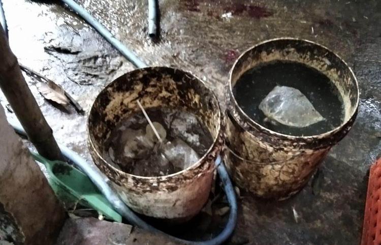 Timbulkan Bau Menyengat, Rumah Potong Ayam di Bantul Ternyata Belum Berizin
