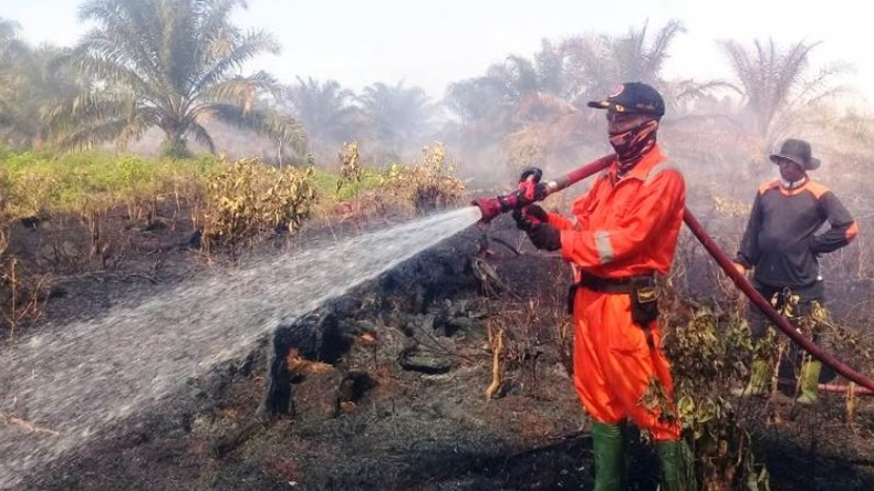 15 Hektare Lahan Sawit di Agam Terbakar, Pemadaman Tersendat karena Air Terbatas