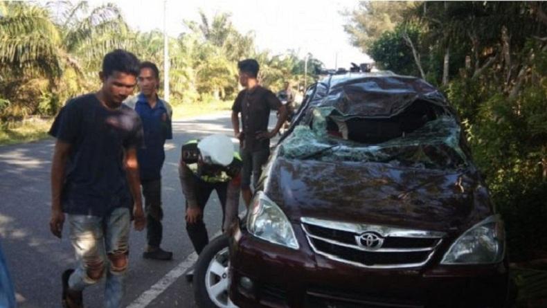 title Minibus Berisi Satu Keluarga Terguling Hindari Motor di Aceh Jaya, Pengemudi Tewas Minibus Berisi Satu Keluarga Terguling Hindari Motor di Aceh Jaya, Pengemudi Tewas