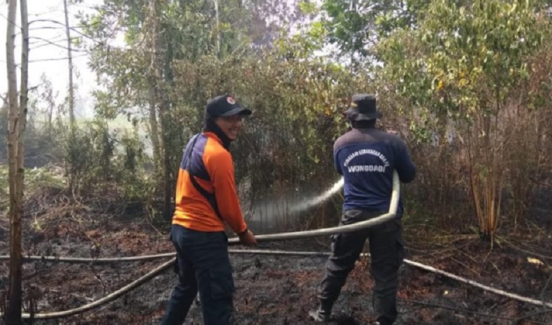 Miliki Titik Panas Terbanyak, Kubu Raya Intensifkan Patroli Karhutla