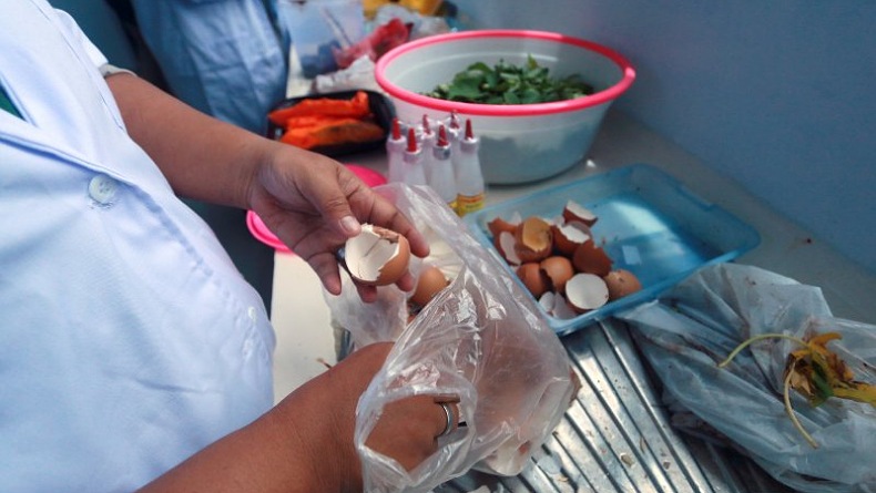 BPTP Gorontalo Kembangkan Pupuk Organik Ramah Lingkungan, Salah Satunya Berbahan Ikan Cakalang