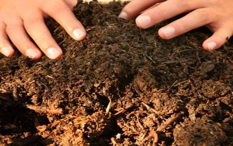 Manfaatkan Sampah, Petani di OKU Timur Ikuti Pelatihan Membuat Pupuk Organik