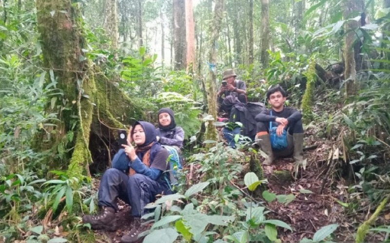 title Tiga Mahasiswi UIN Jambi yang Dilaporkan Hilang di Gunung Mesurai Ditemukan Selamat Tiga Mahasiswi UIN Jambi yang Dilaporkan Hilang di Gunung Mesurai Ditemukan Selamat
