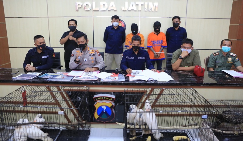 title Polda Jatim Bongkar Perdagangan Satwa Dilindungi di Facebook Polda Jatim Bongkar Perdagangan Satwa Dilindungi di Facebook