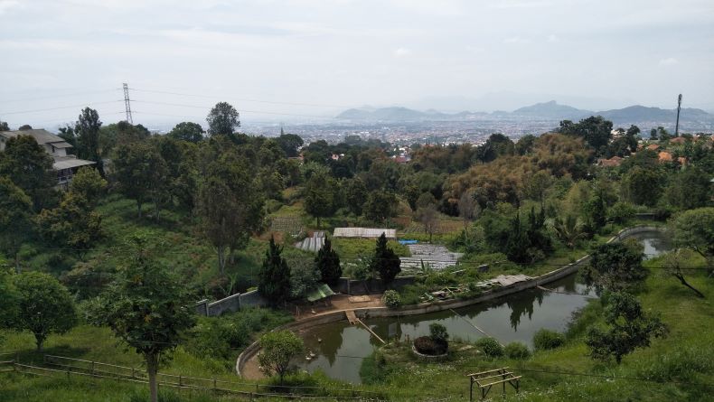 Alih Fungsi Lahan Marak, Pemkot Cimahi Sulit Penuhi Target RTH 20 Persen