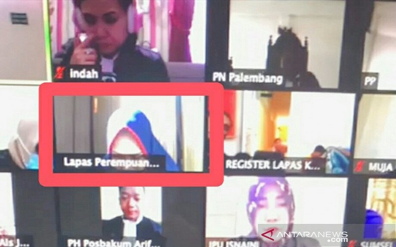 Perempuan Cantik Penjual Kucing Divonis 2,5 Tahun Penjara